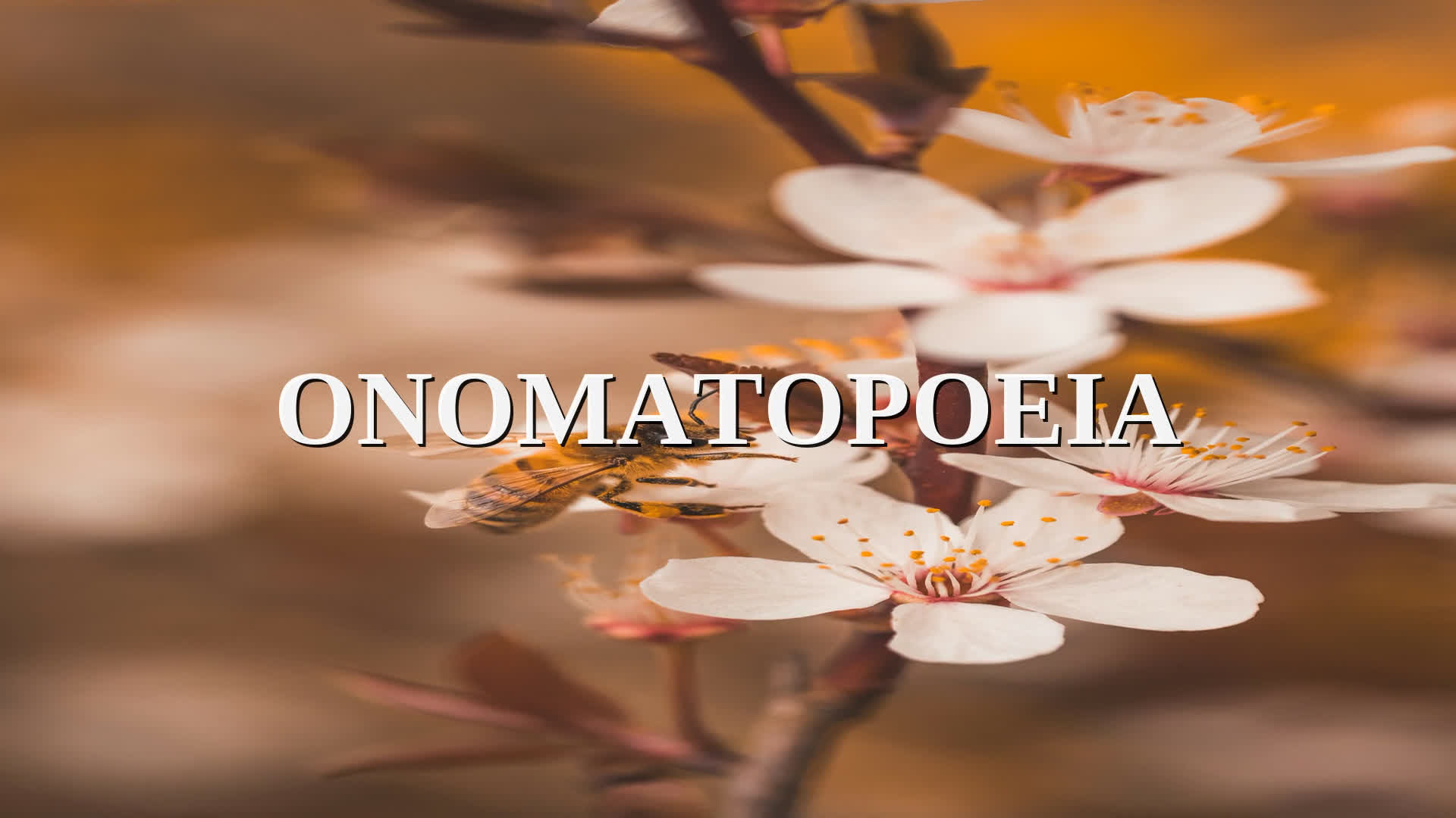 Onomatopoeia: The Word That Sounds Like What It Means — NameWise etymology video